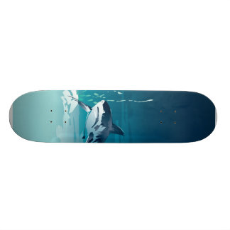 haai skateboard