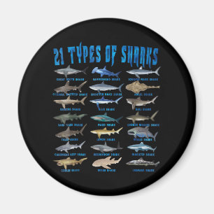 Haaien 21 soorten zeedieren magneet