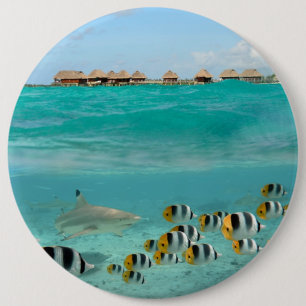 Haaien achtervolgen, knop Bora Bora lagoon Ronde Button 6,0 Cm