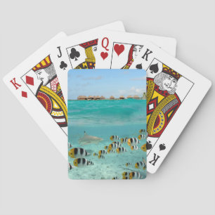 Haaien achtervolgen visjes speelkaartendek pokerkaarten