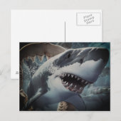 Haaien Briefkaart (Voorkant / Achterkant)