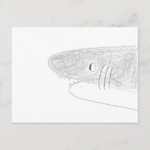 Haaien Briefkaart