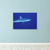 Haaien Canvas Afdruk (Insitu (Houten vloer))