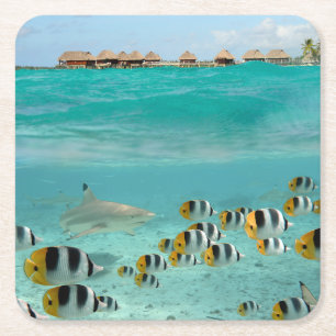 Haaien die vissen op het onderzetter van het Bora