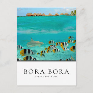 Haaien en vissen in Bora Bora, Frans-Polynesië Briefkaart