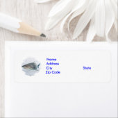 Haaien Etiket (Insitu)