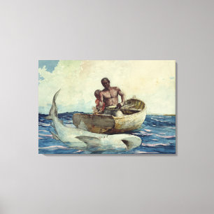Haaien Gevist, 1885 Canvas Afdruk