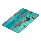 Haaien in de Bora Bora lagune rechthoekige magneet (Linkerzijde)