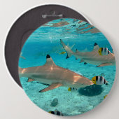 Haaien in de lagune Bora Ronde Button 6,0 Cm (Voorkant /achterkant)