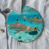 Haaien in de lagune Bora Ronde Button 6,0 Cm (In situ)