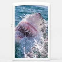 Haaien in het water