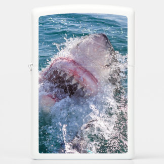 Haaien in het water