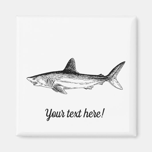 Haaien Magneet (Voorkant)