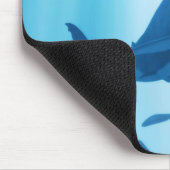 Haaien Muismat (Hoek)