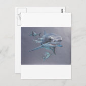 Haaien op Bay Briefkaart (Voorkant / Achterkant)