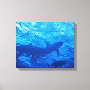 Haaien op de blauwe haard canvas afdruk