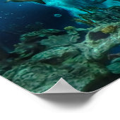 Haaien op de Prowl Poster (Hoek)