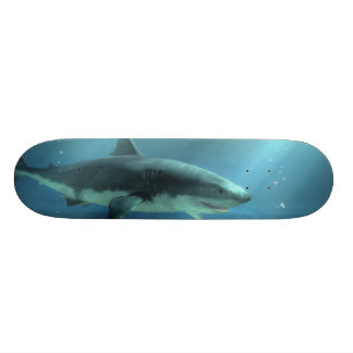 Haaien Skateboard