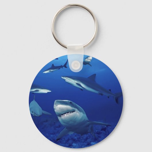 Haaien Sleutelhanger (Voorkant)
