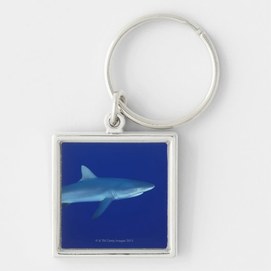 Haaien Sleutelhanger (Voorkant)