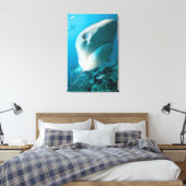 Haaien van tijgerhaai (Galeocerdo cuvier) Canvas Afdruk (Insitu (Slaapkamer))