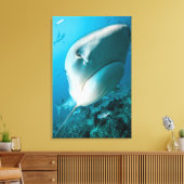 Haaien van tijgerhaai (Galeocerdo cuvier) Canvas Afdruk (Insitu (Woonkamer))