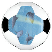 Haaien Voetbal (Gedraaid)