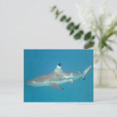 Haaien zwemmen onder water briefkaart (Staand voorkant)