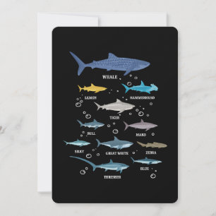 Haaiensoort Shark Faces Marine Biology Kaart