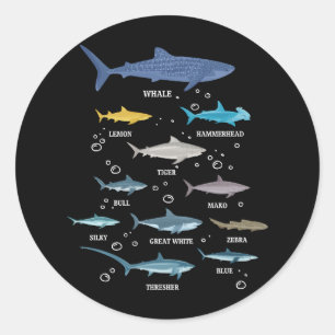 Haaiensoort Shark Faces Marine Biology Ronde Sticker
