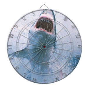 Haaiensprong Dartbord