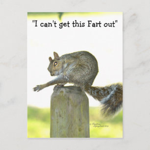 Haal dit Briefkaart uit Funny Squirrel