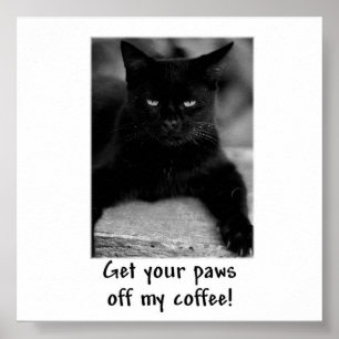 Haal je geld uit mijn koffie! Funny Cat Poster