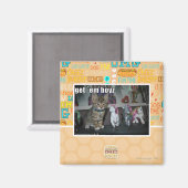 Haal me jongens magneet (Voorkant / Achterkant)