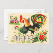  Haan Briefkaart (Voorkant / Achterkant)