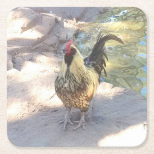 Haan Drink Coasters Vierkante Kartonnen Onderzetter