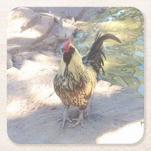 Haan Drink Coasters Vierkante Kartonnen Onderzetter (Voorkant)