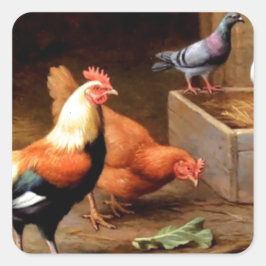 Haan duiven vierkante sticker