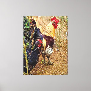 Haan en Hen in een Struikgewas Canvas Afdruk