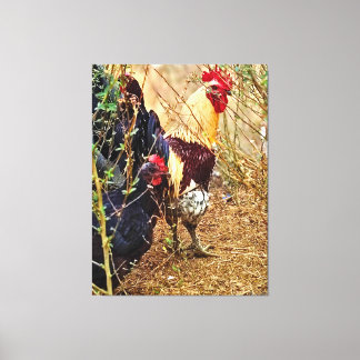 Haan en Hen in een Struikgewas Canvas Afdruk