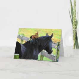 Haan en Merrie Kaart