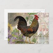 haan Franse collage Boerderij Pet Briefkaart (Voorkant / Achterkant)