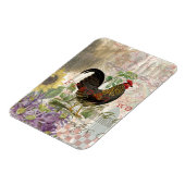  haan Franse collage Boerderij Pet Magneet (Linkerzijde)