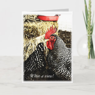Haan + Hen Tail, Grappig Wenskaart Kaart