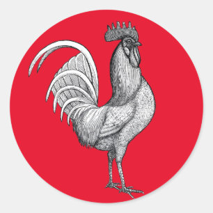  haan illustratie Stickers