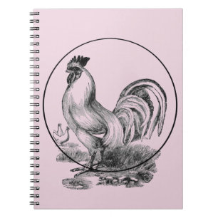 Haan Illustratieboek Notitieboek