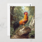 Haan in een Oerwoud landschap Briefkaart (Voorkant / Achterkant)