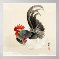 haan Japanse kunst