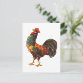 Haan Keuken Kist Art Briefkaarten (Staand voorkant)