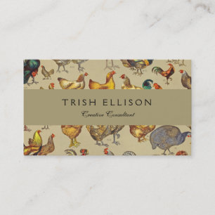 Haan Kip Boerderij Dier Pluimvee Land Visitekaartje